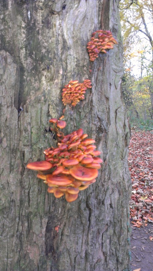 How am I supporting someone else's growth?  How are others supporting me?